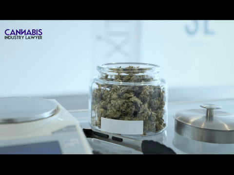 OHIO MARIJUANA DISPENSARY LICENSE APPLICATION