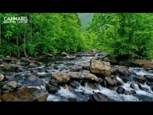 VIRGINIA MARIJUANA ESTABLISHMENT LICENSES