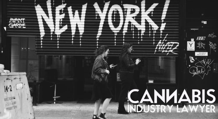 New york Cannabis License Application