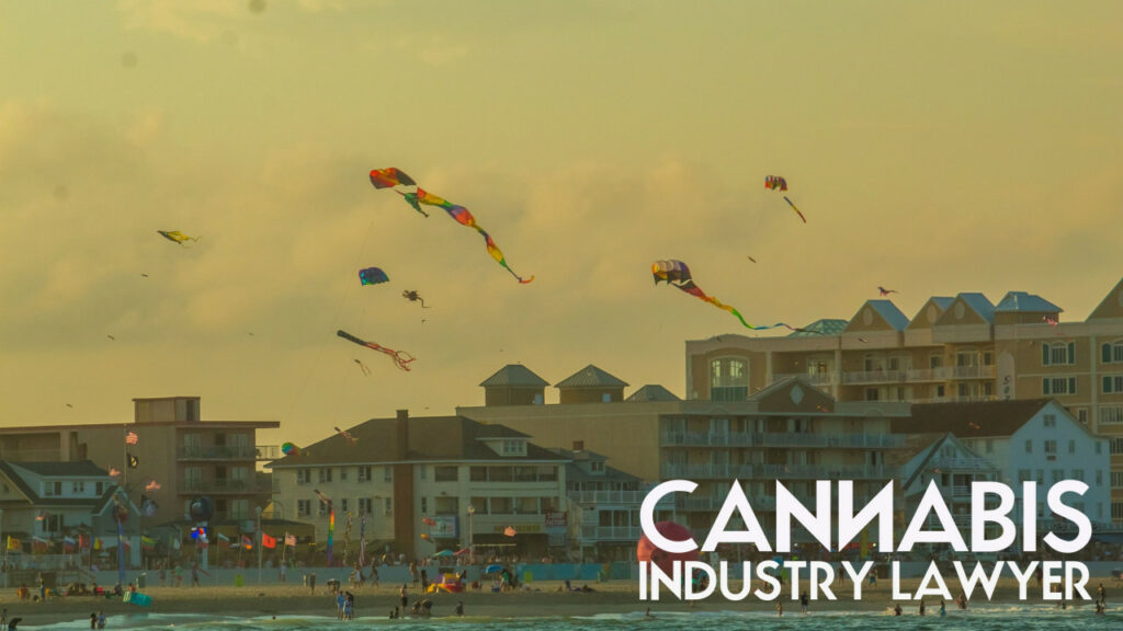 Maryland Cannabis Dispensary Application