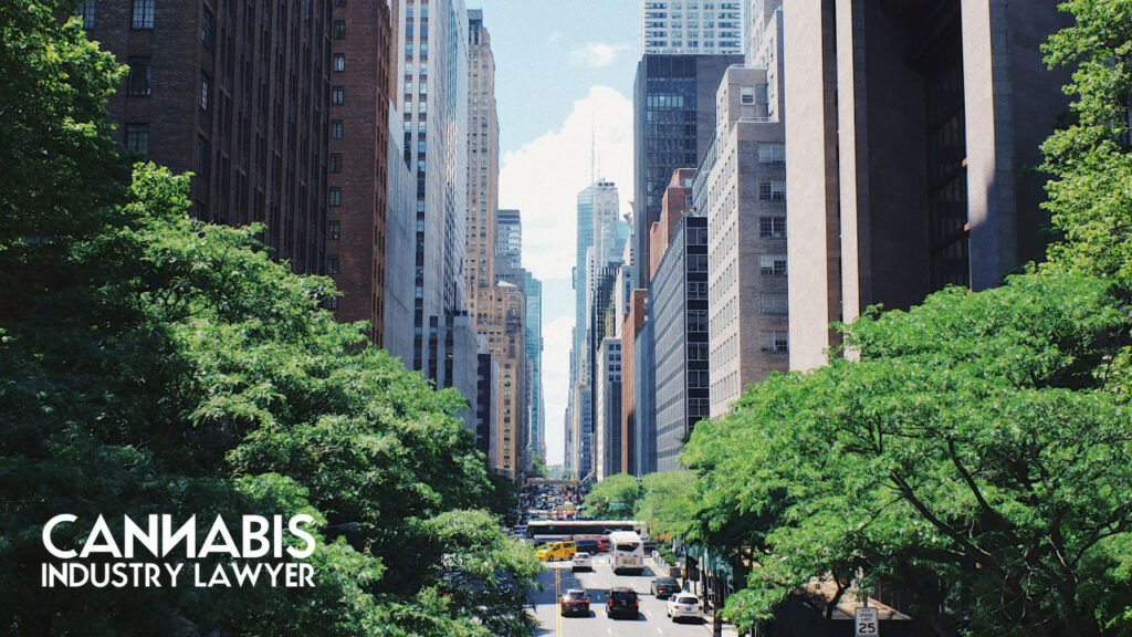 Cannabis Attorney New York