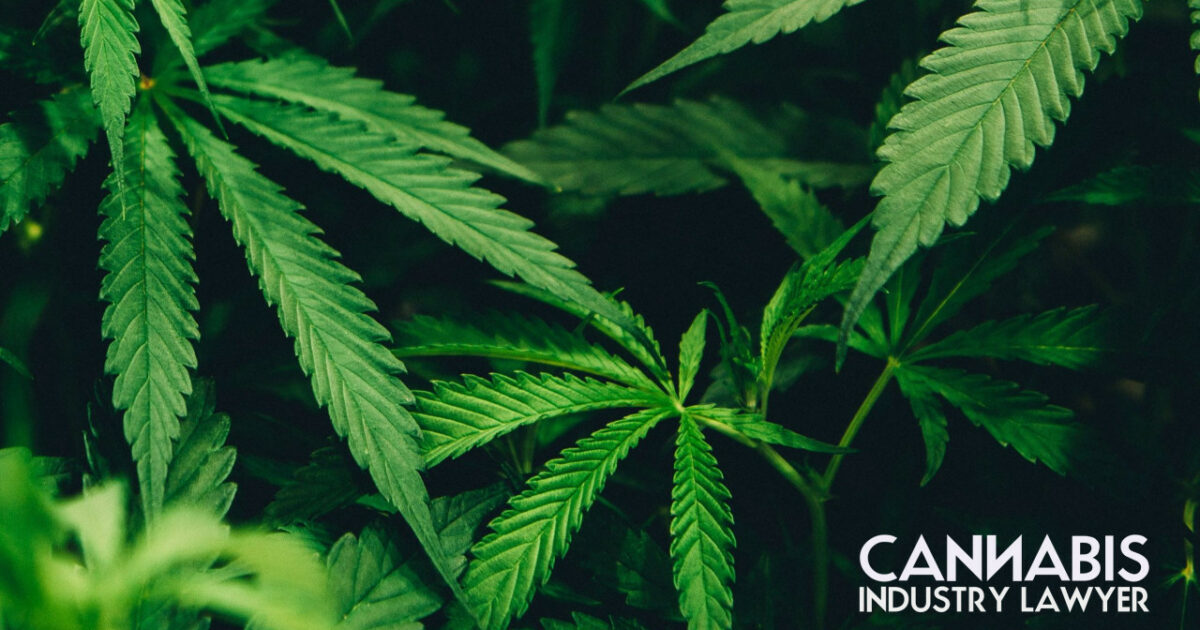 Maryland Recreational Marijuana What You Need to Know