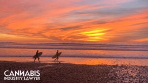 Redondo Beach Cannabis Dispensary license