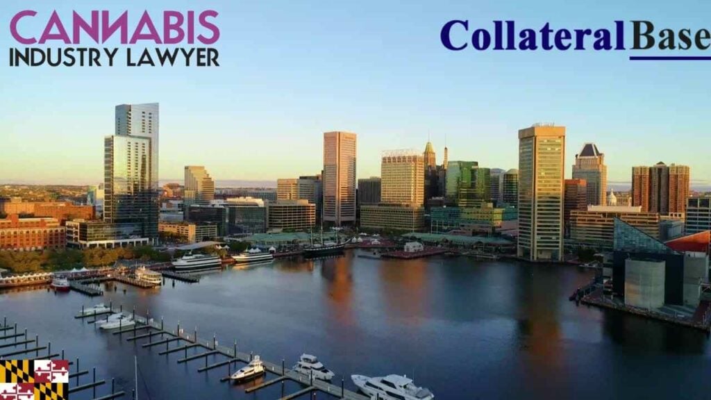 Maryland Cannabis processor License