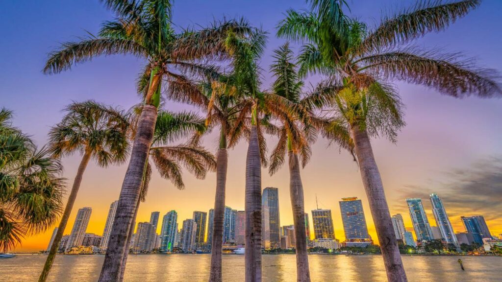 Florida Cannabis Lawyer