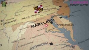 Maryland Social Equity Verification Process