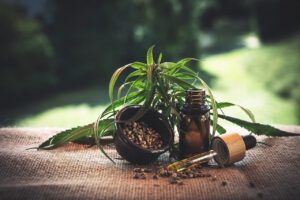 How Can You Select A Reliable Brand For Purchasing CBD Products
