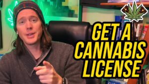 How To Get A Cannabis License