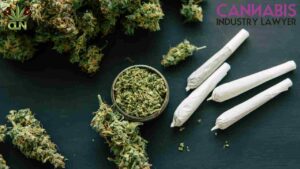 How to Get a Cannabis License in Kentucky