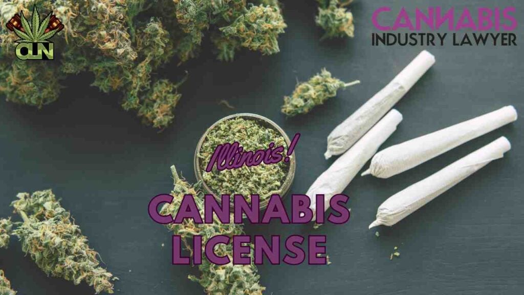 illinois cannabis license