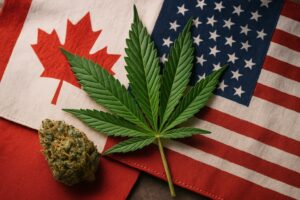 Canada’s Cannabis Laws vs. The US